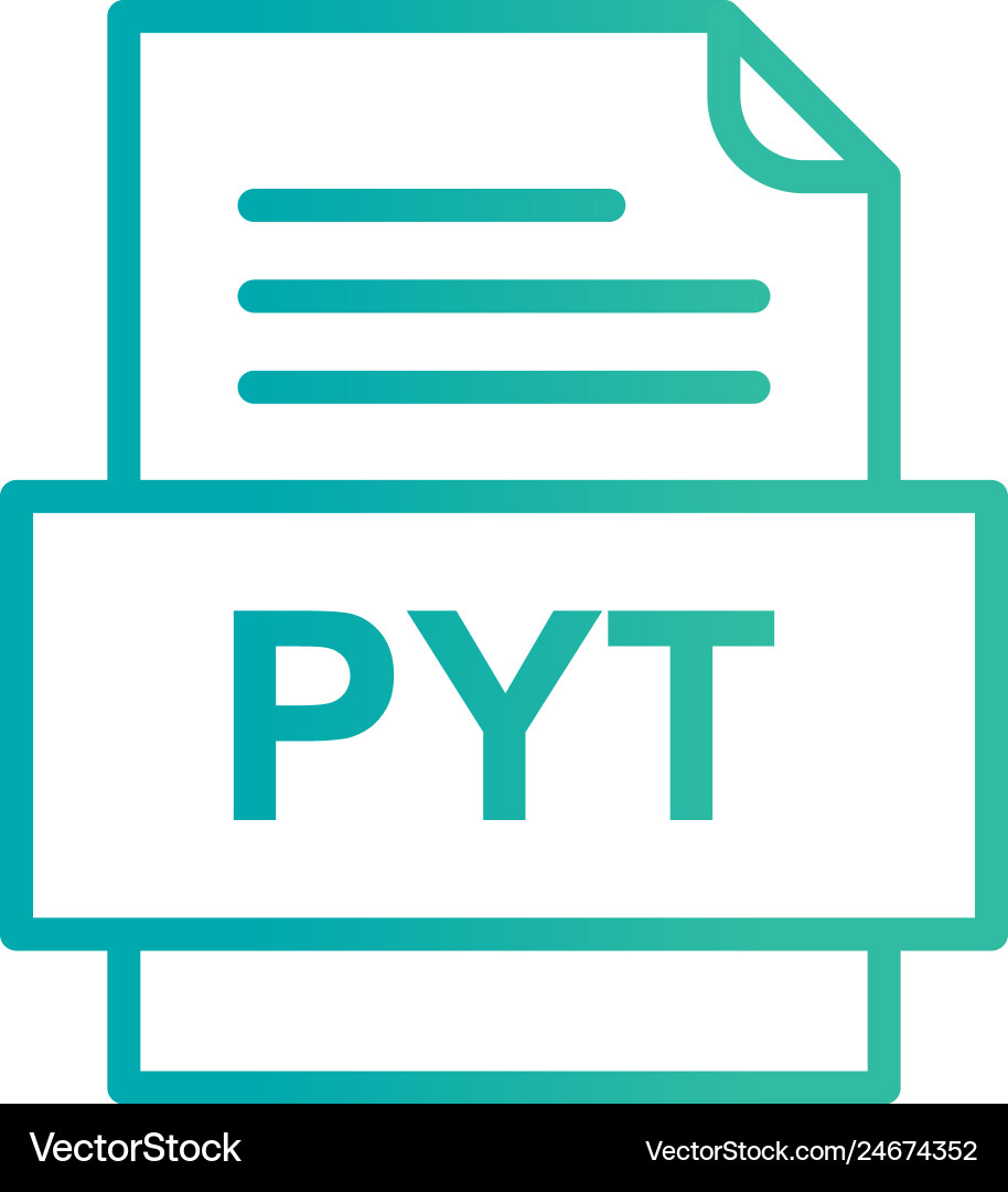 Pyt file document icon vector image