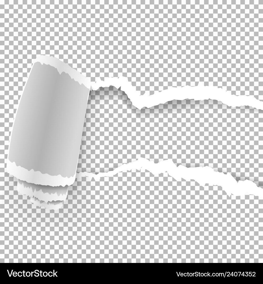 Ripped Paper Texture Royalty Free Vector Image