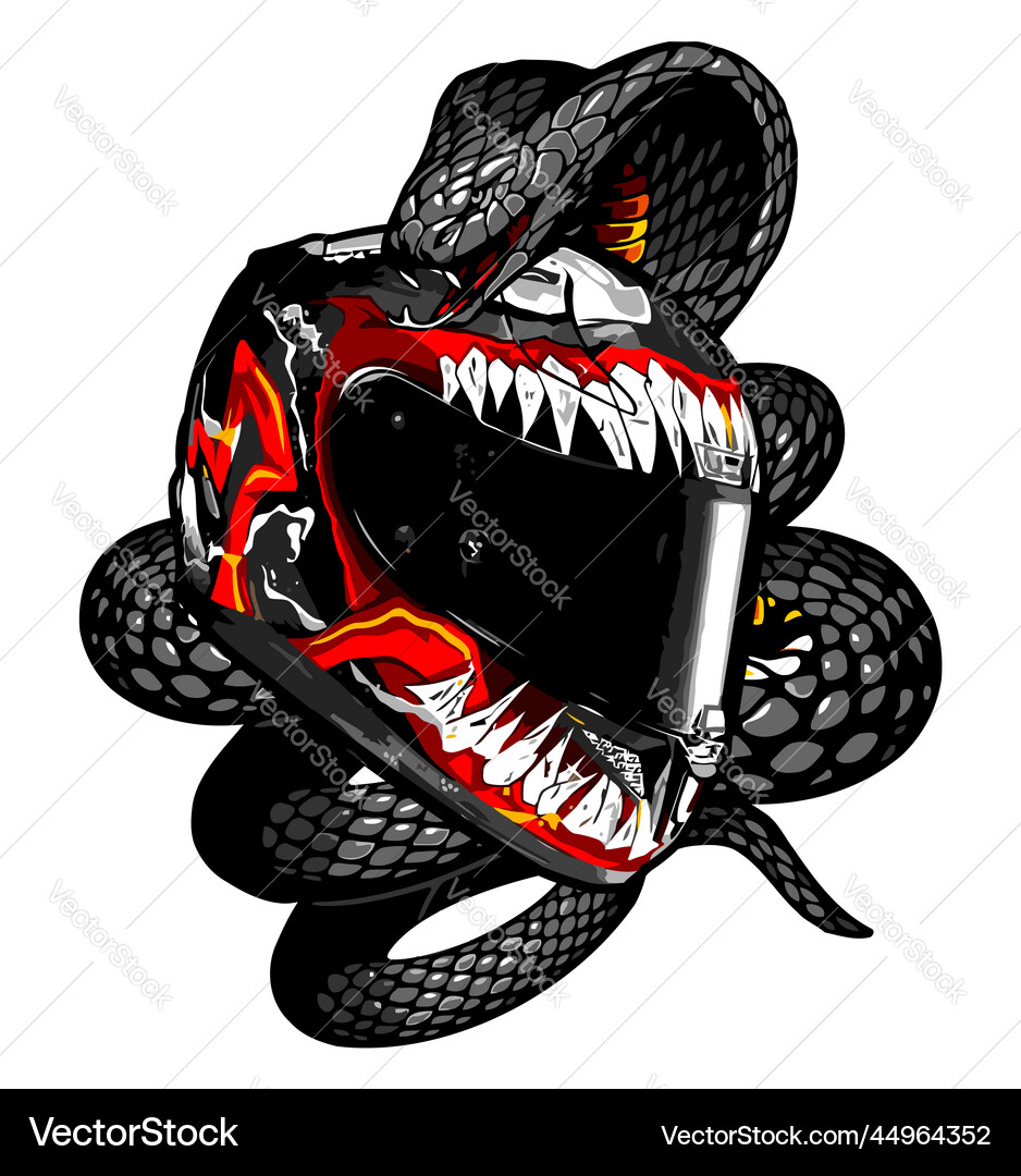 Side view pattern helmet wrapped around a snake Vector Image