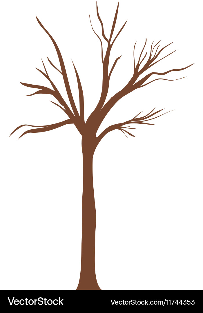 Tree trunk with branchs without leaves vector image