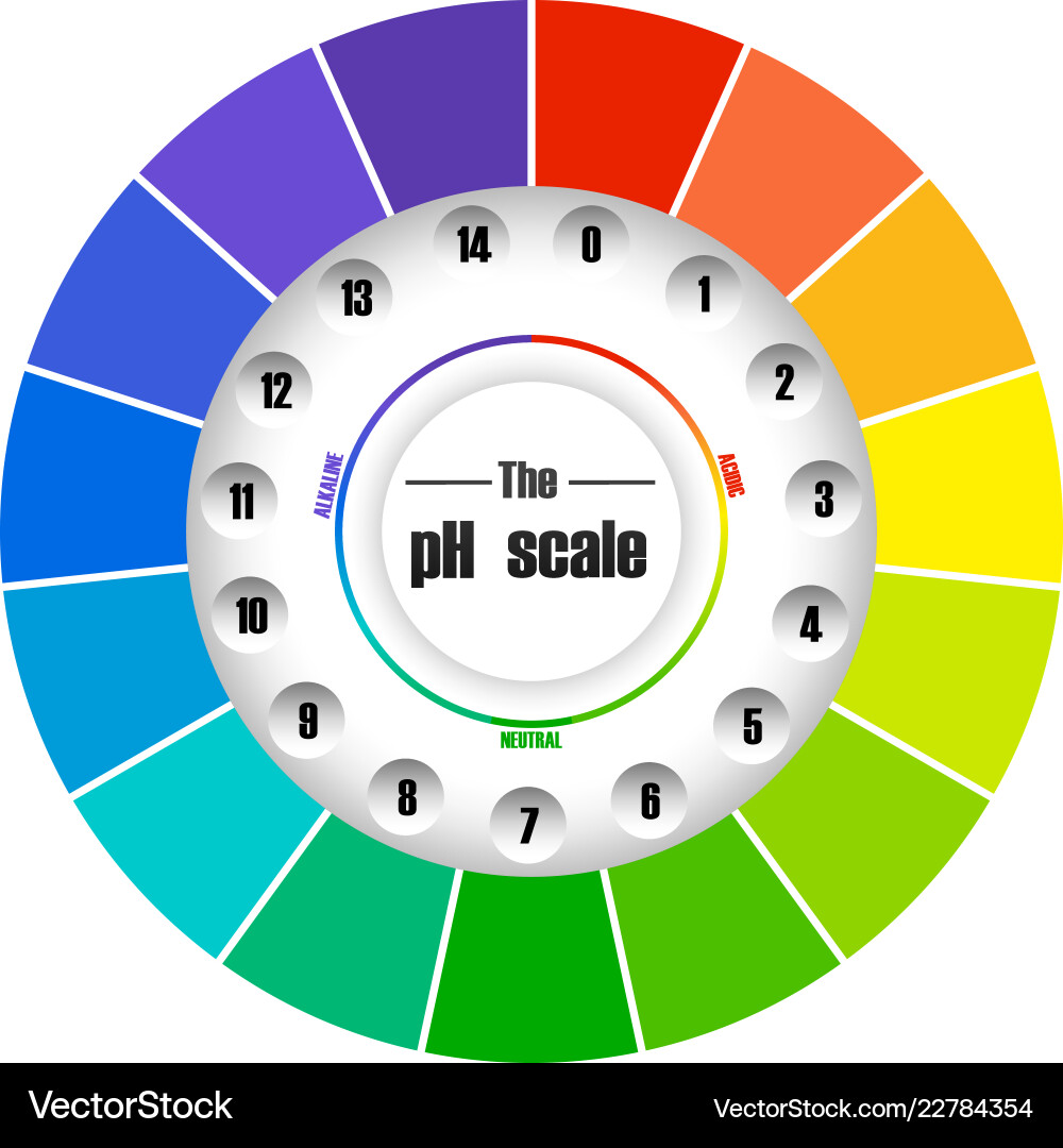 Circle ph colour scale Circle ph colour scale vector image