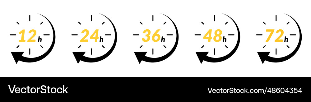 Hour icon with 12 and 24 clock formats for 48h Vector Image