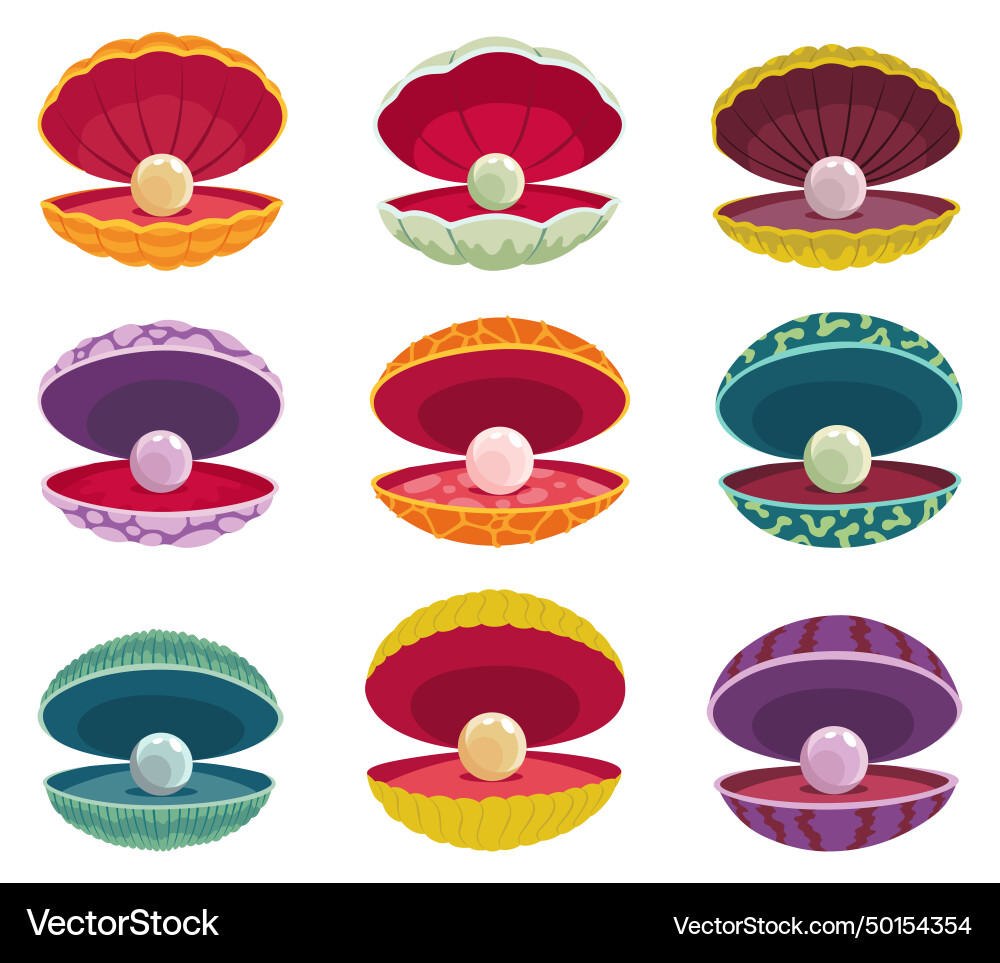 Pearls in seashell open seashells scallop Vector Image