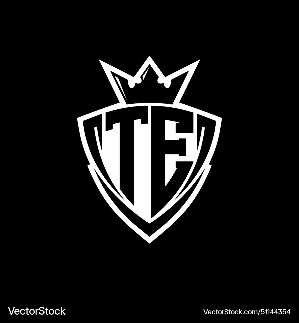 Te letter logo with sharp triangle shield shape Te letter logo with sharp triangle shield shape Vector Image