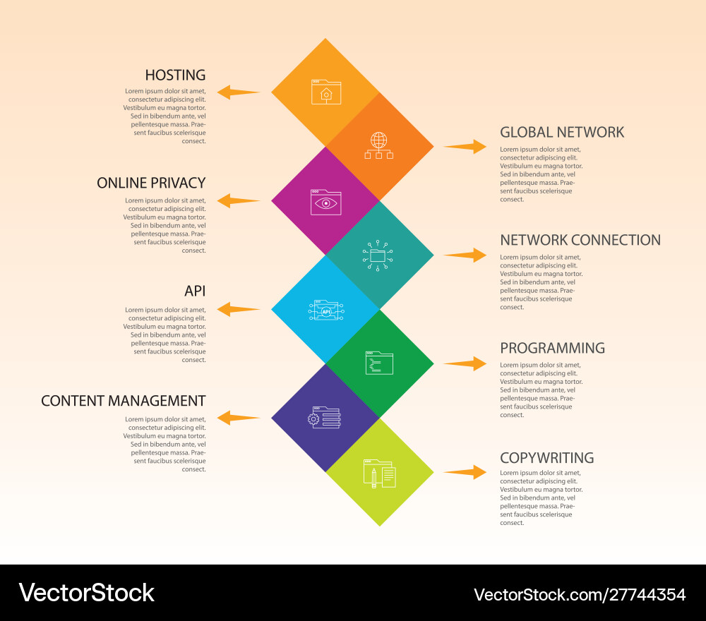 Web development infographics design timeline Web development infographics design timeline vector image