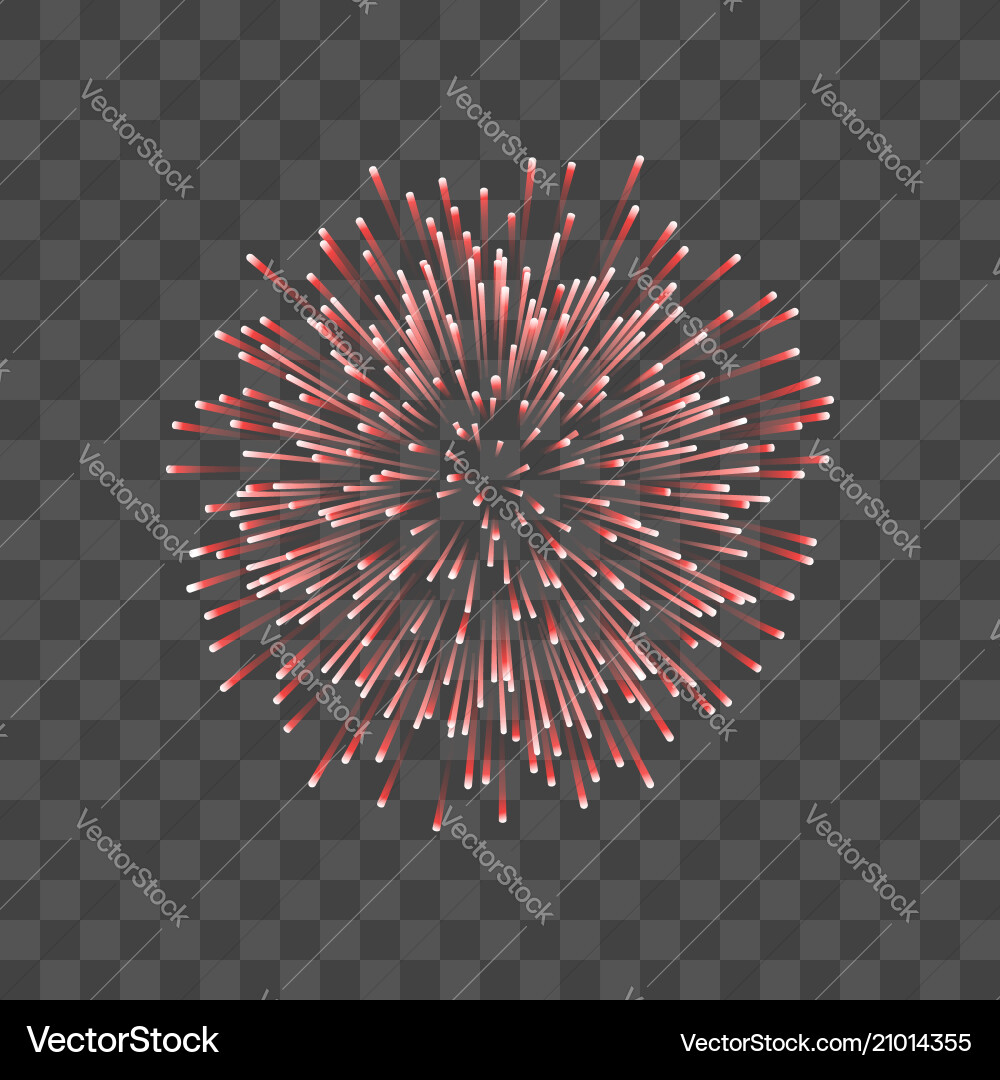 Beautiful red firework couple romantic salute Beautiful red firework couple romantic salute vector image