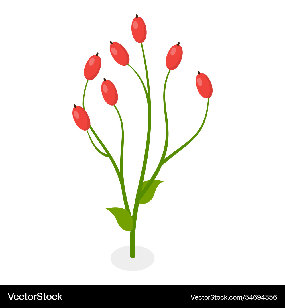 3d isometric flat of flowers 3d isometric flat of flowers vector image