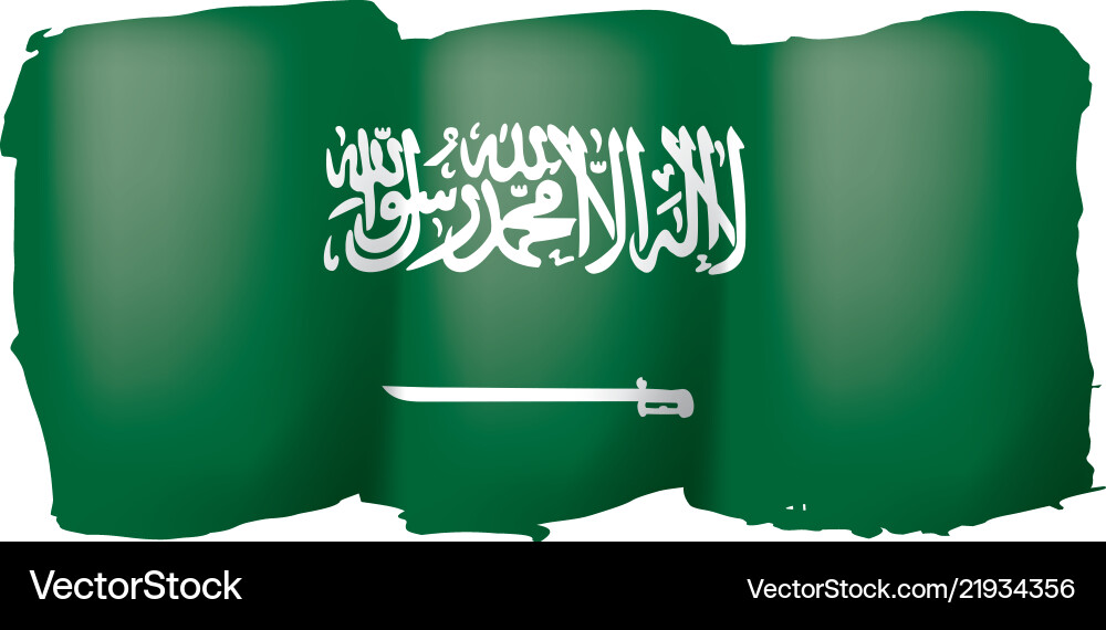 Saudi arabia flag on a white Saudi arabia flag on a white vector image