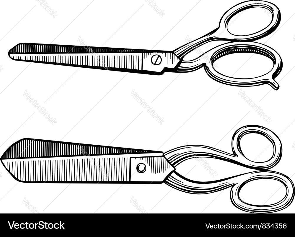 Scissors Vector Image
