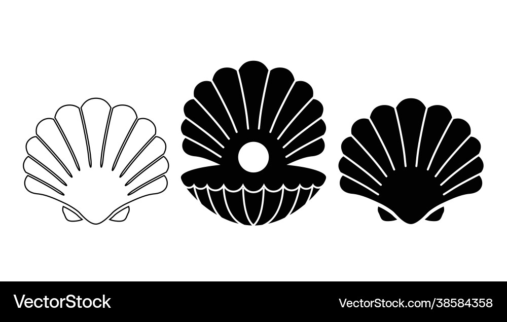 A shell with pearl three variations A shell with pearl three variations vector image