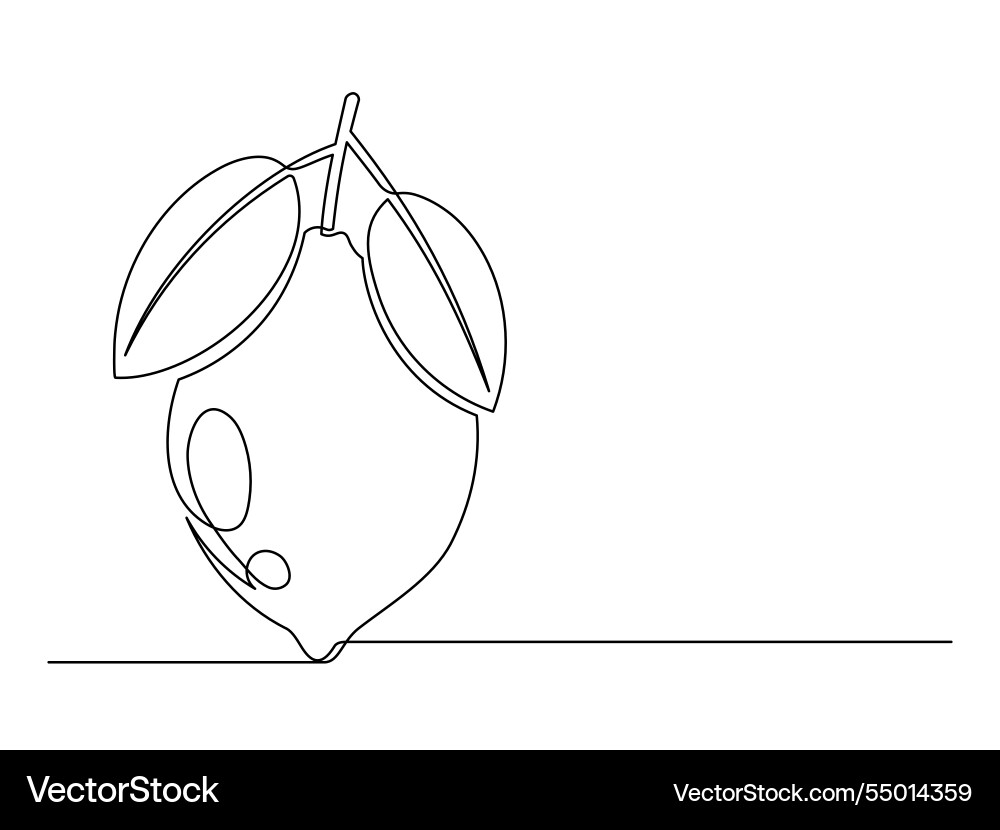 Continuous one line lemon with leaf Continuous one line lemon with leaf Vector Image