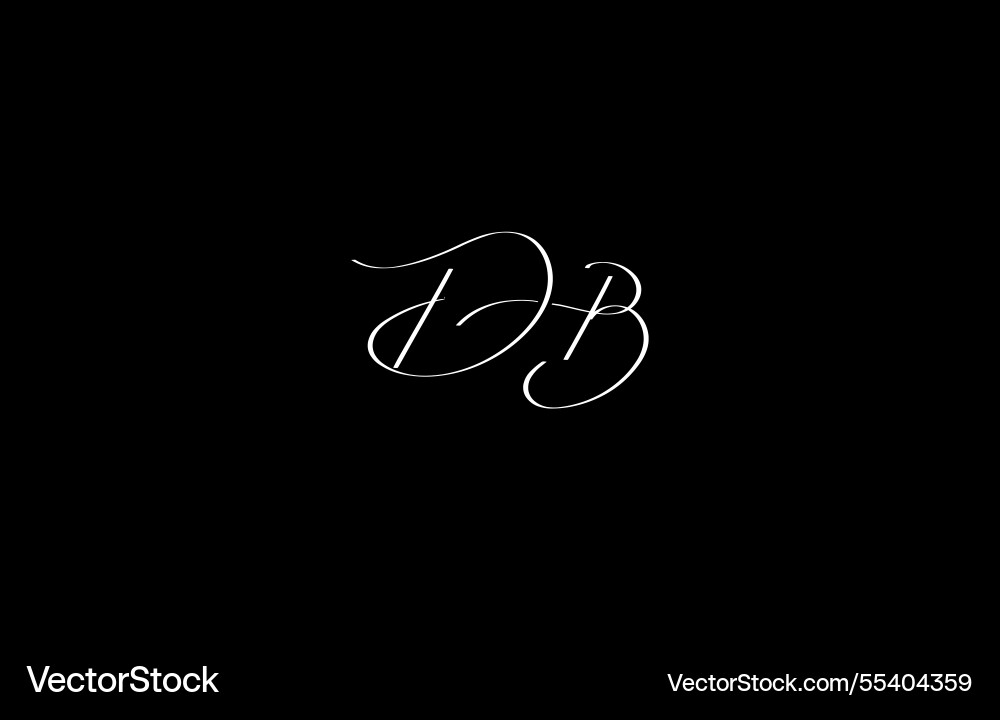 Elegant calligraphy of cursive db logo vector image