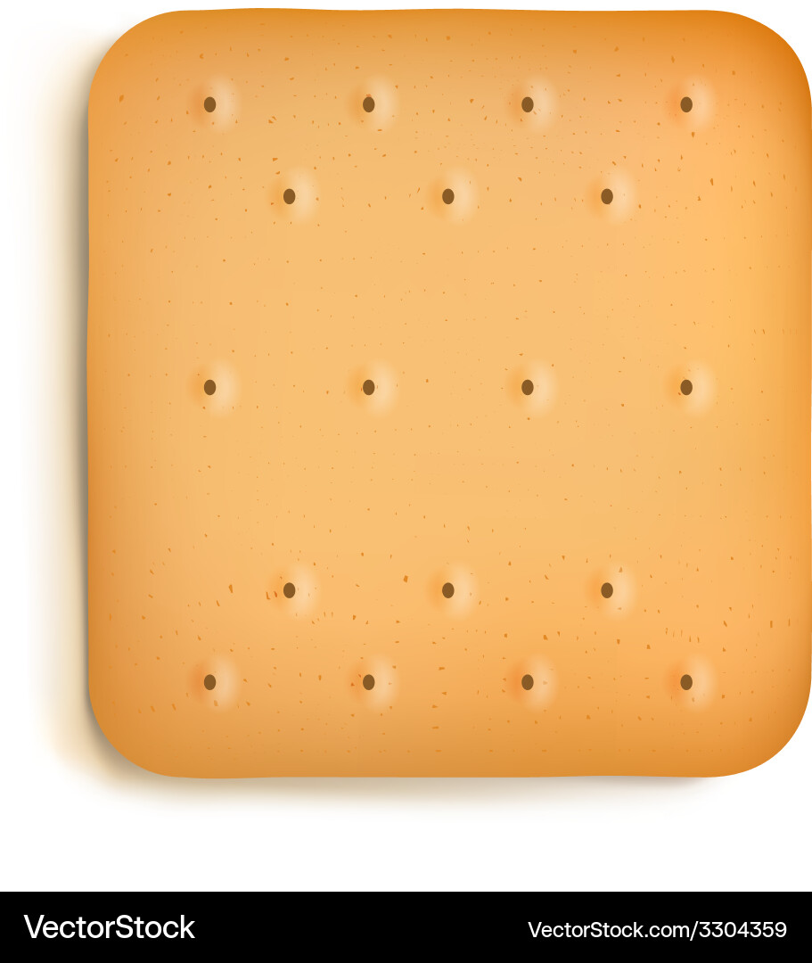 Isolated Cracker on White Background vector image
