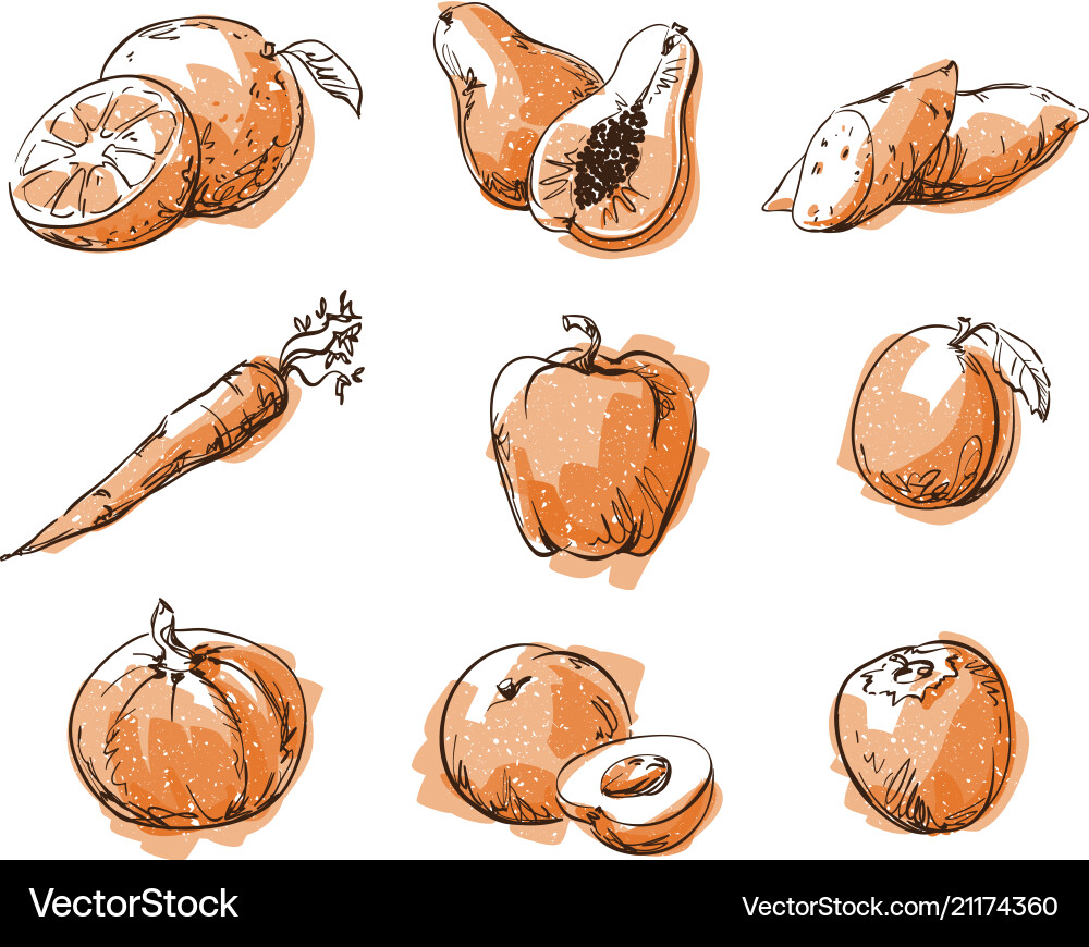 Assortment of orange foods fruit and vegetables Assortment of orange foods fruit and vegetables vector image
