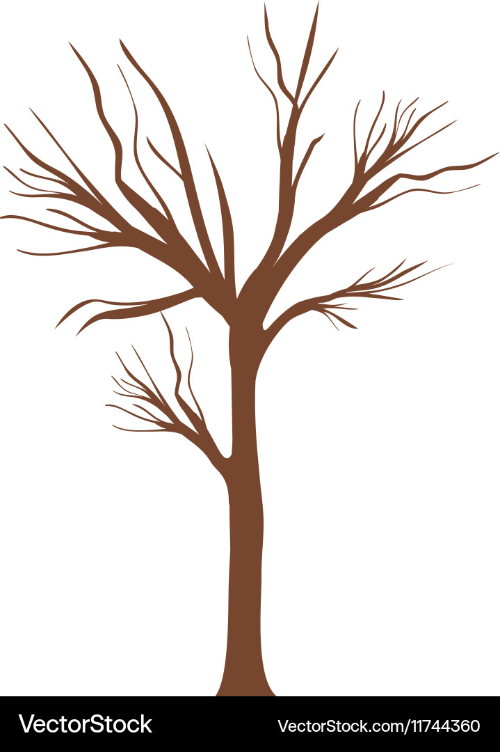Bare Tree Trunk with Branches vector image