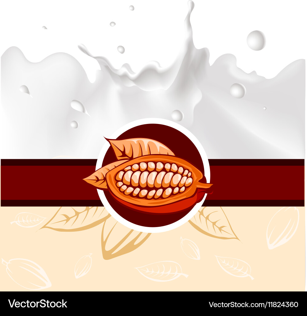 Cocoa bean design with milk splash vector image