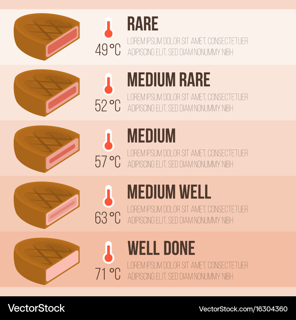 Info graphics steak and temperature vector image