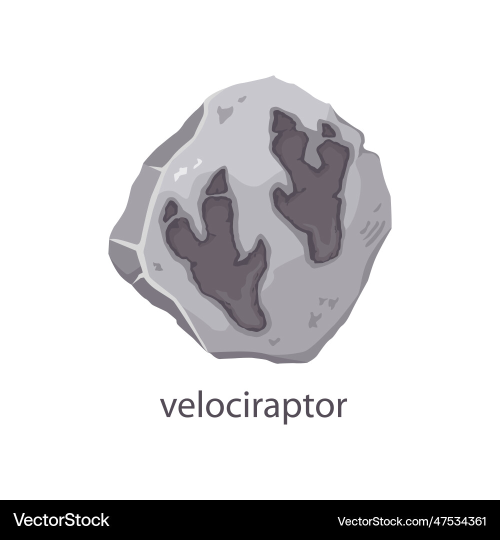 Velociraptor dinosaur footprint stone fossil Vector Image