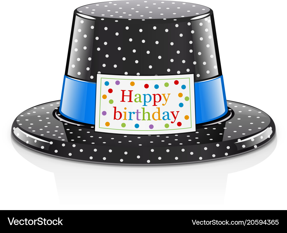 Colorful Birthday Party Hat vector image