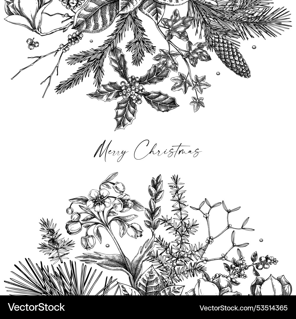 Frohe Weihnachten Karte Vintage Rahmen mit Evergreen Frohe Weihnachten Karte Vintage Rahmen mit Evergreen vektorbild