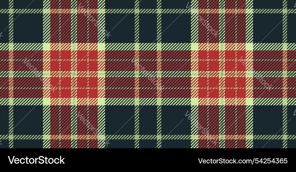 String fabric texture check red tartan textile String fabric texture check red tartan textile vector image