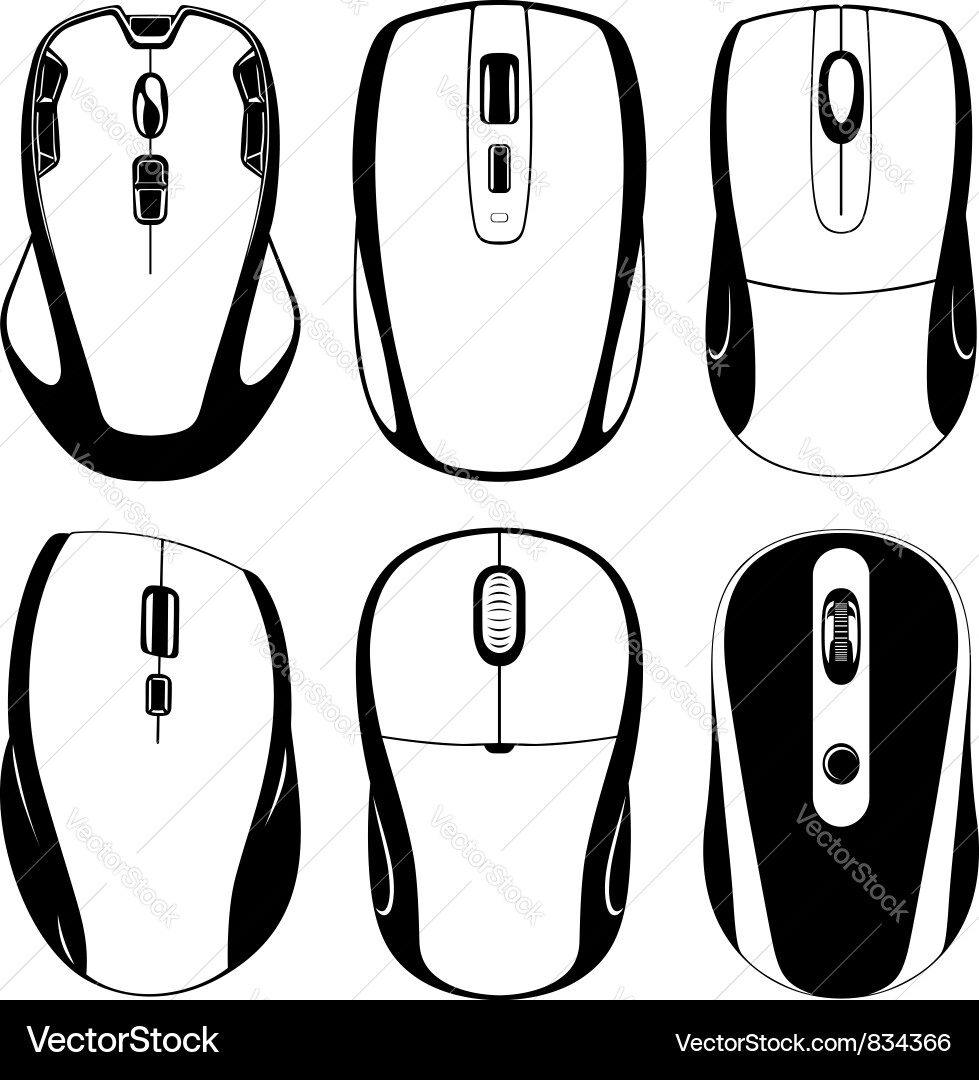 Modern Computer Mouse vector image