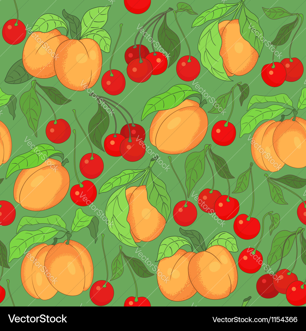 Seamless pattern with cherries and apricots vector image