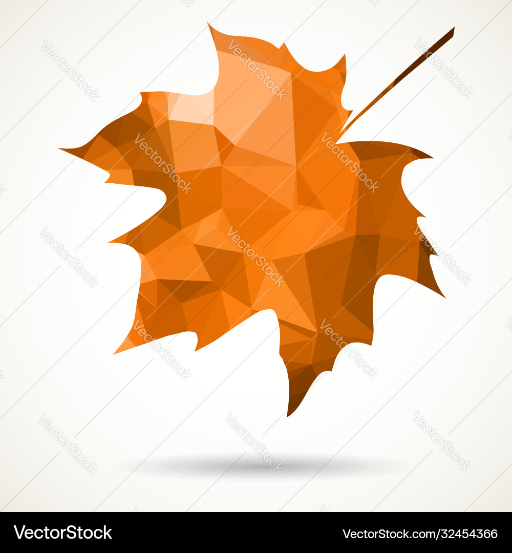 Triangular maple leaf vector image