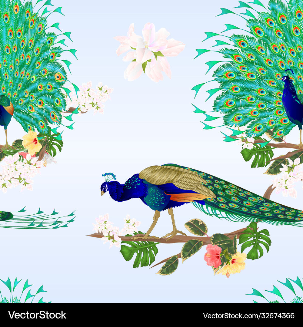 Tropical Peacocks Watercolor Vector Image