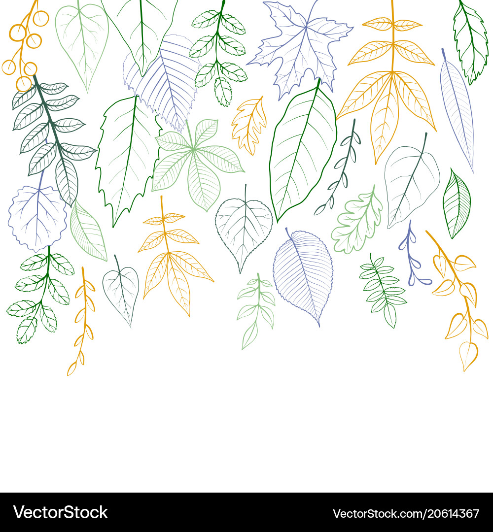 Leafy Botanical Background Vector Image