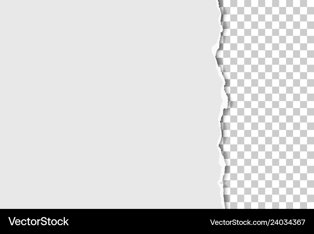 Torn part of sheet white paper from up to down Torn part of sheet white paper from up to down vector image