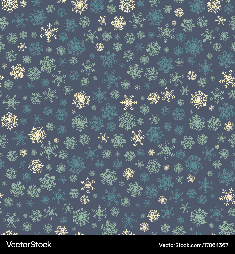 Winter Snowflake Pattern vector image