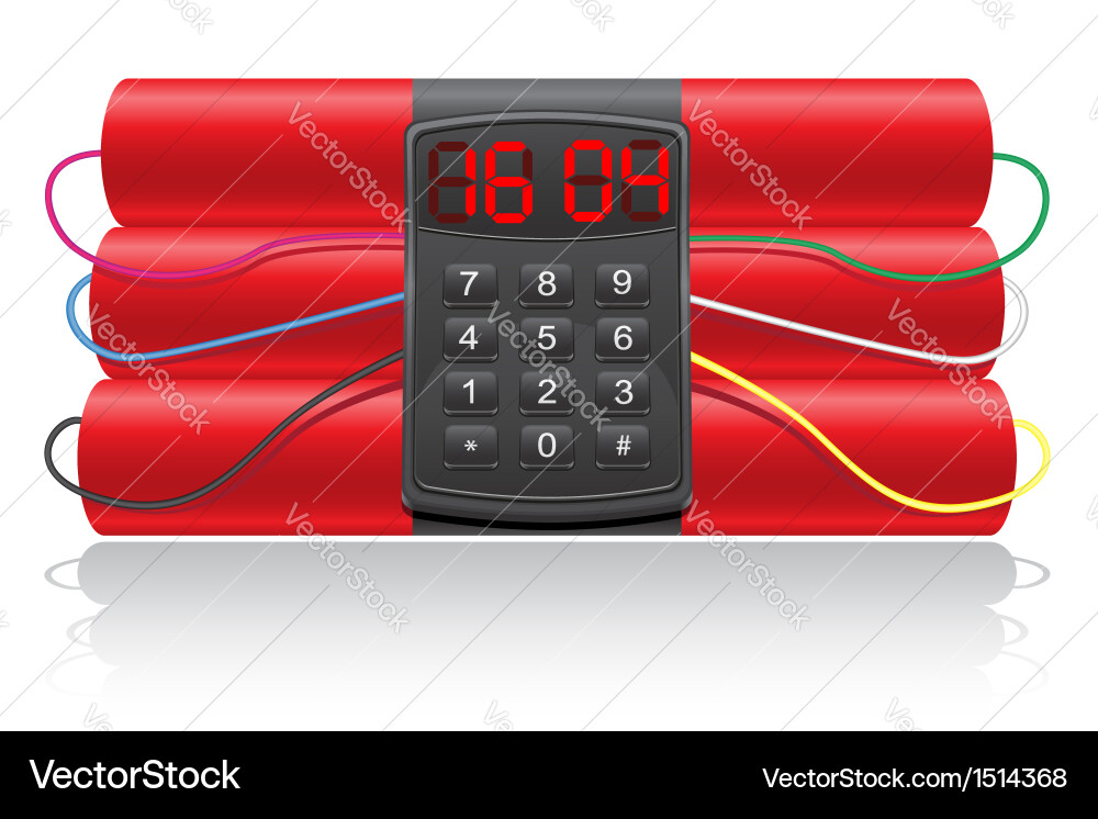 Explosive dynamite and clockwork vector image