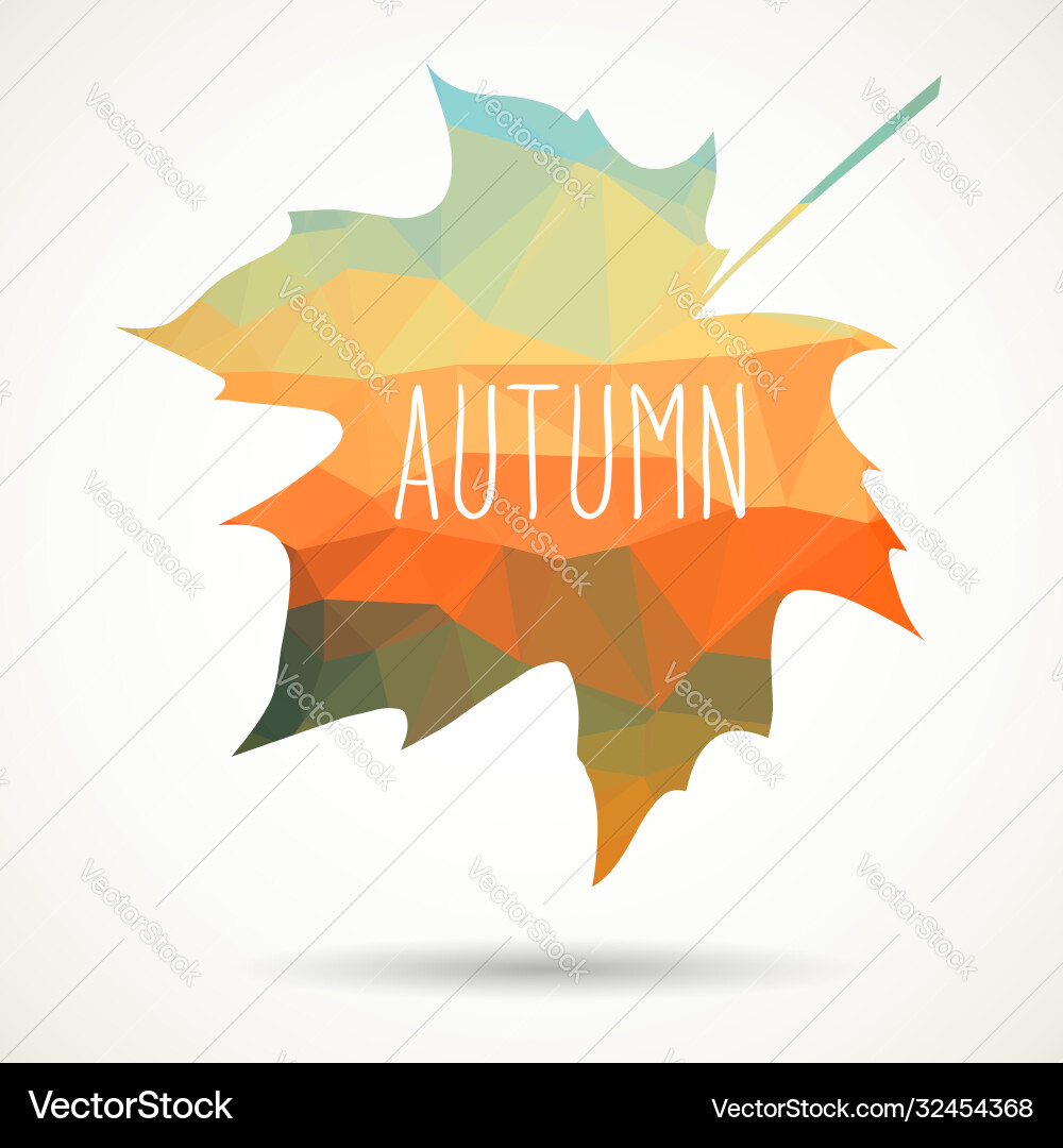 Triangular maple leaf Vector Image