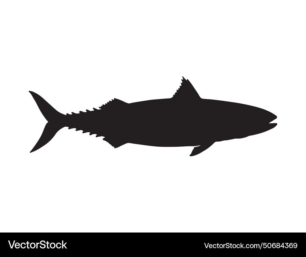 Mackerel fish silhouette art vector image