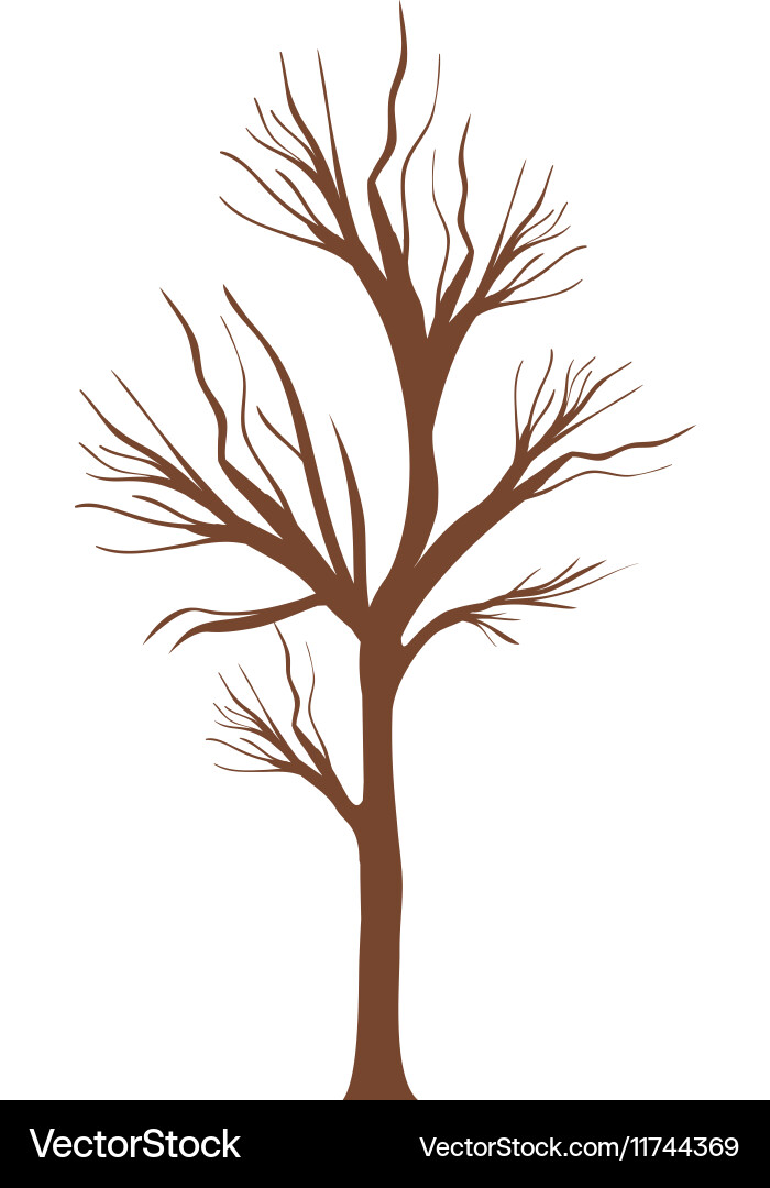 Tree trunk with branchs without leaves vector image