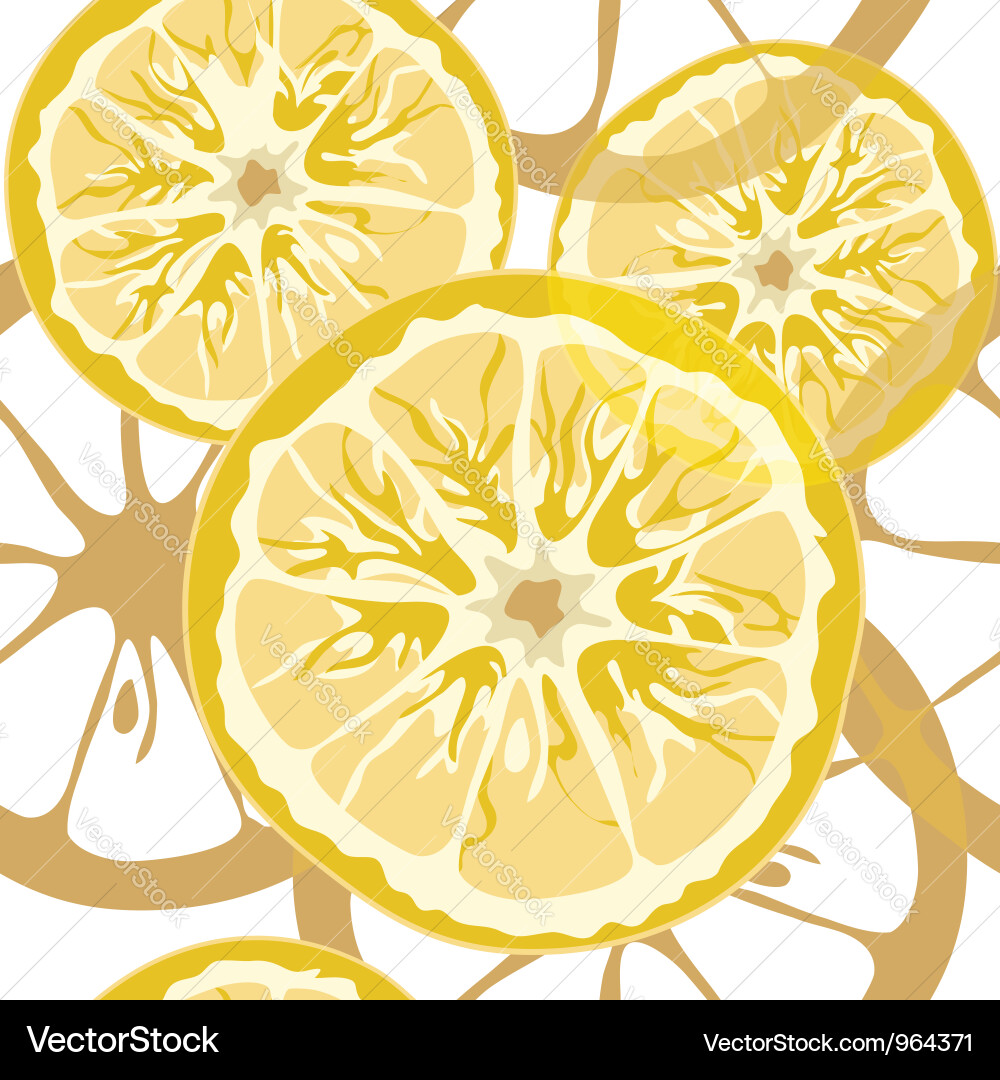 Citrus Slice Pattern vector image