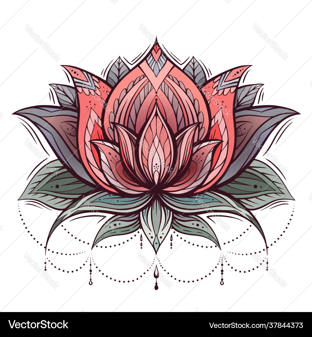 Colored drawing a lotus with boho pattern Colored drawing a lotus with boho pattern Vector Image
