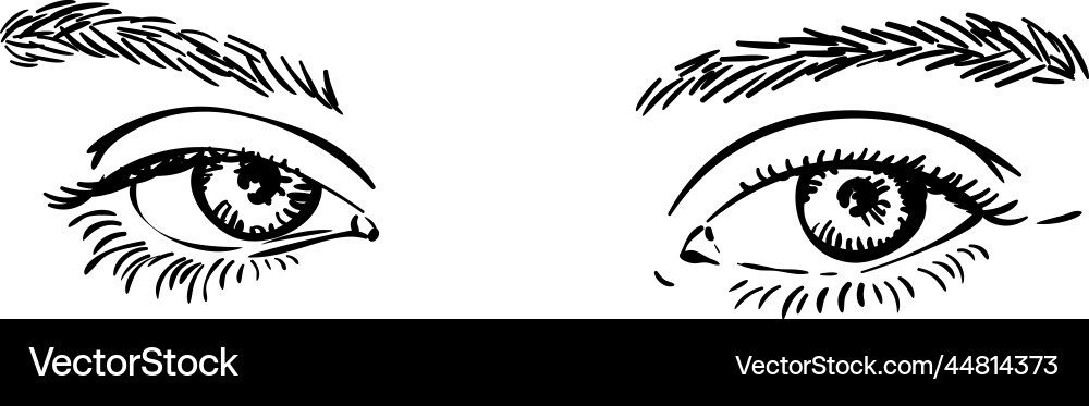 Teenage Girl Eyes - Languishing Look Vector Image