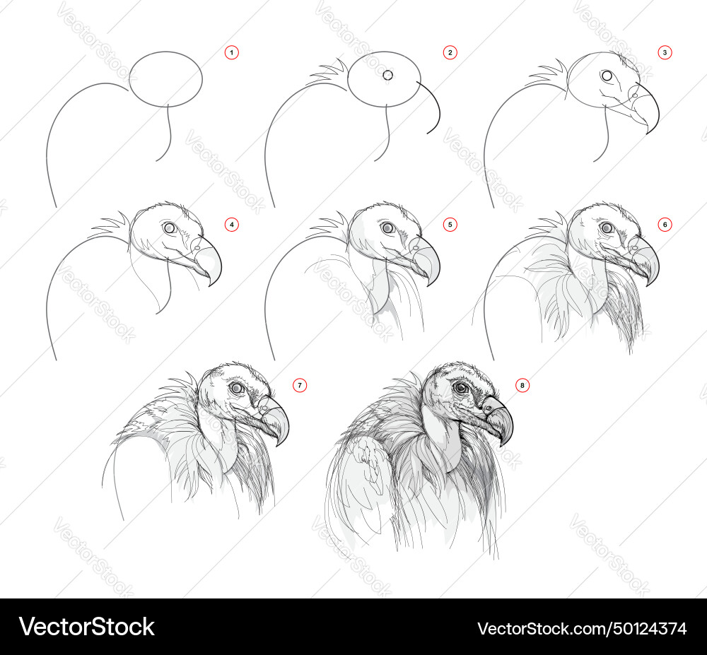 Page shows how to learn draw from life sketch Page shows how to learn draw from life sketch vector image
