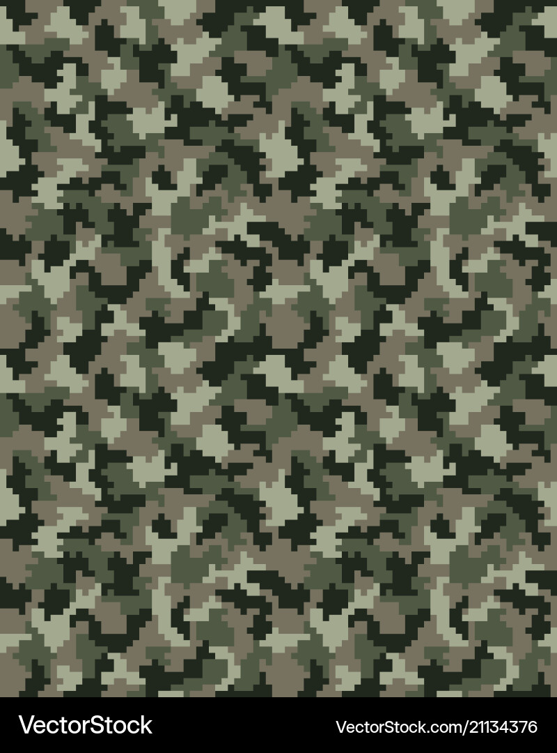 Digital Camouflage Pattern Vector Image