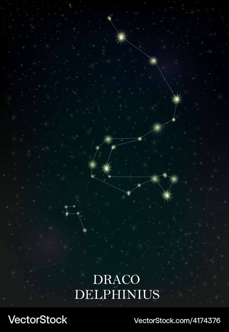 Draco and delphinius constellation Vector Image