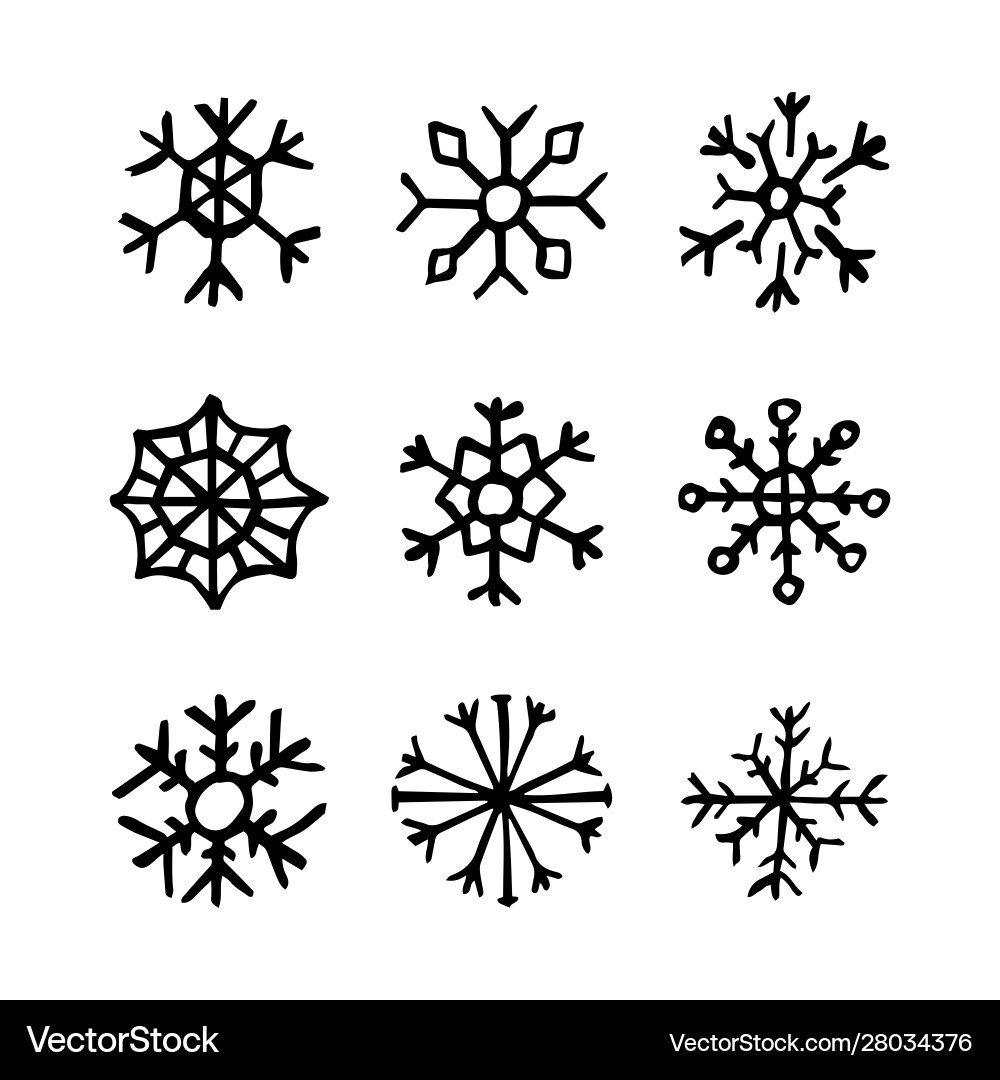 Hand drawn snowflakes on white background vector image