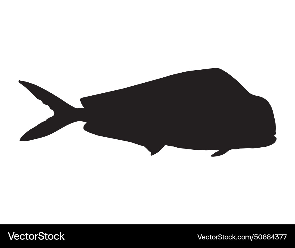 Mahi fish silhouette art Mahi fish silhouette art vector image