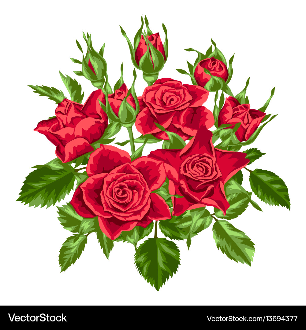 Red Roses Floral Element Vector Image