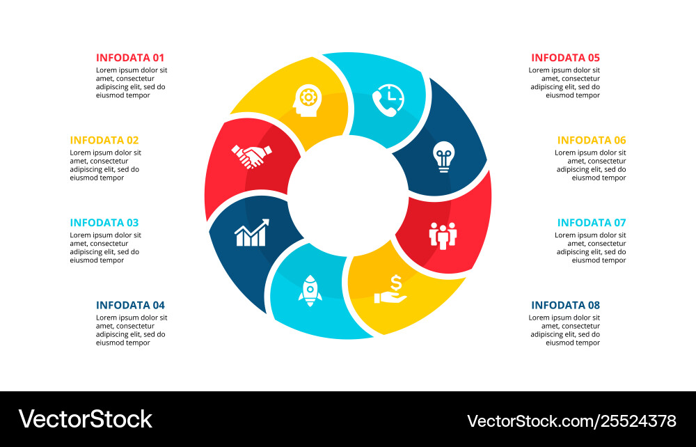 8 Circle Infographic Element vector image