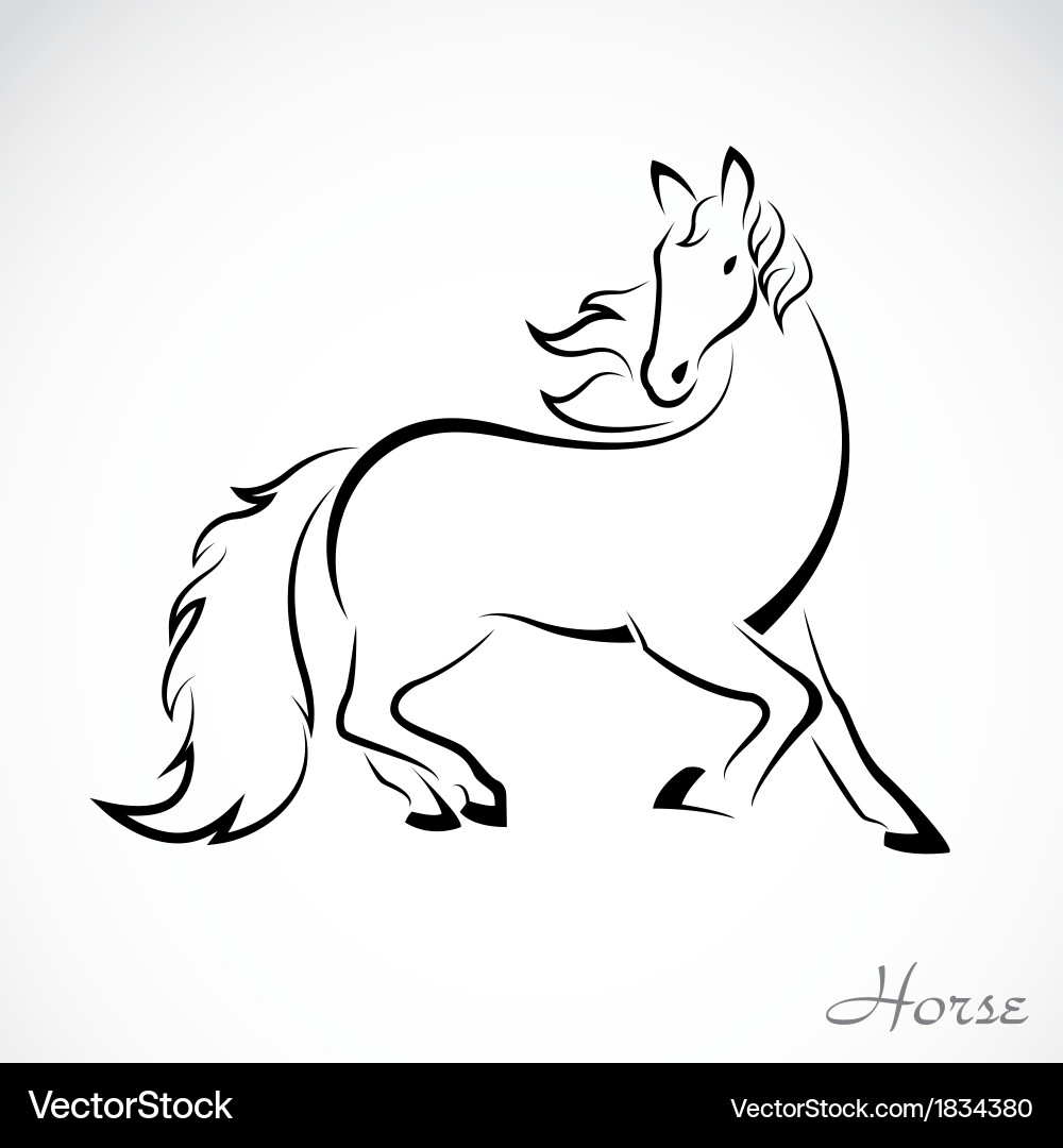 Elegant Horse Outline Vector Image