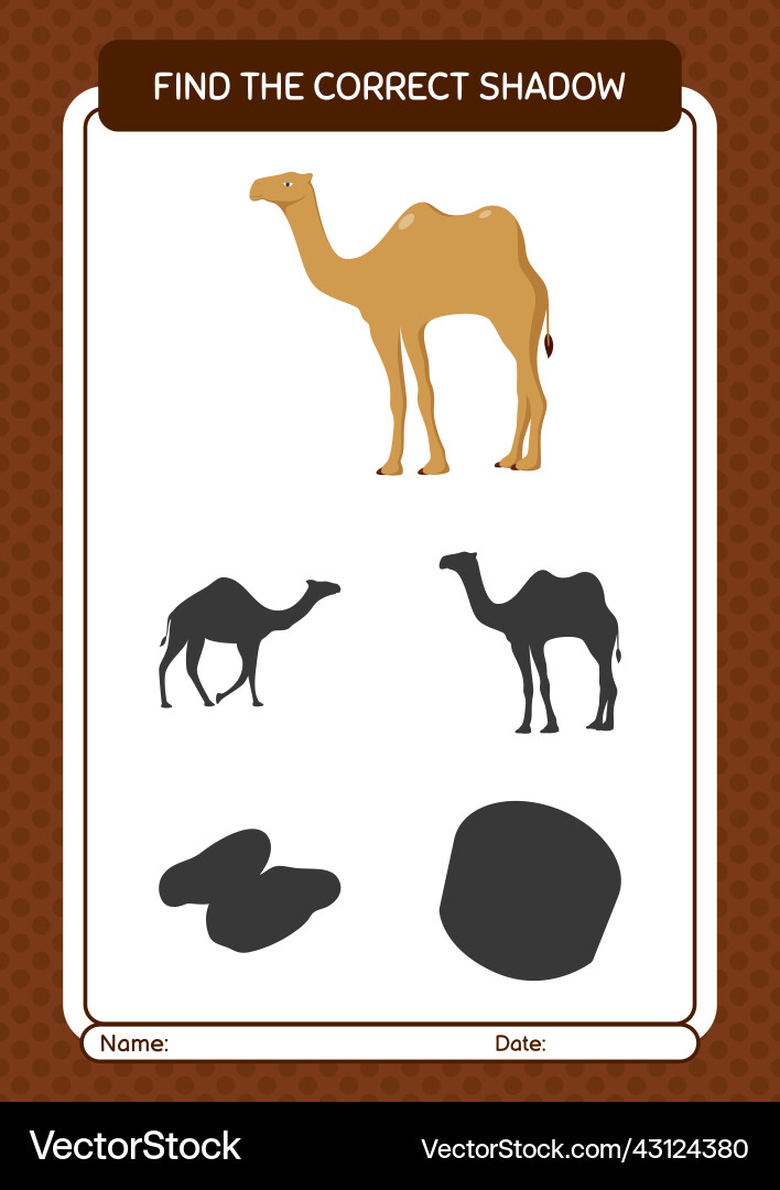 Find the correct shadows game with camel vector image