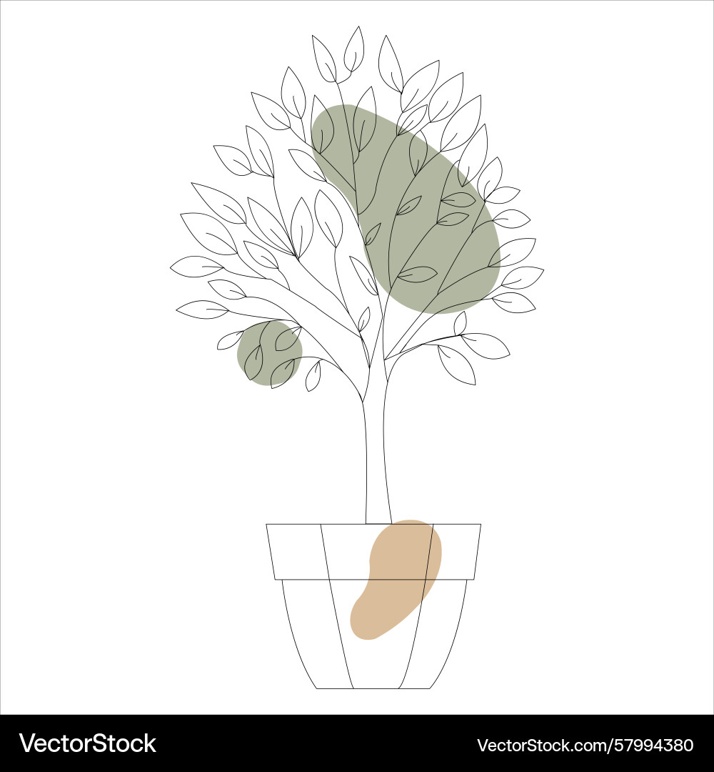 Minimal potted tree line art with abstract color Vector Image