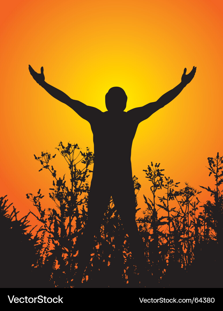 Sunset Silhouette Man Vector Image